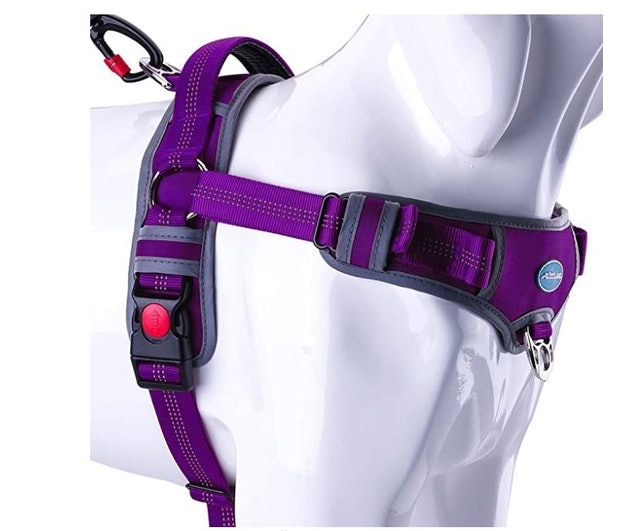 No-Pull Sport Harness 1