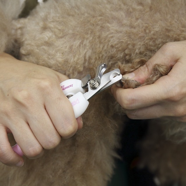 Nail Clipper and File for Pets 8