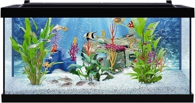 10 Best Fish Tanks of 2026 (Marina, Tetra, and More) 3