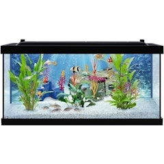 PLAYMOBIL Explore Your Aquarium 10 Gallon Kit