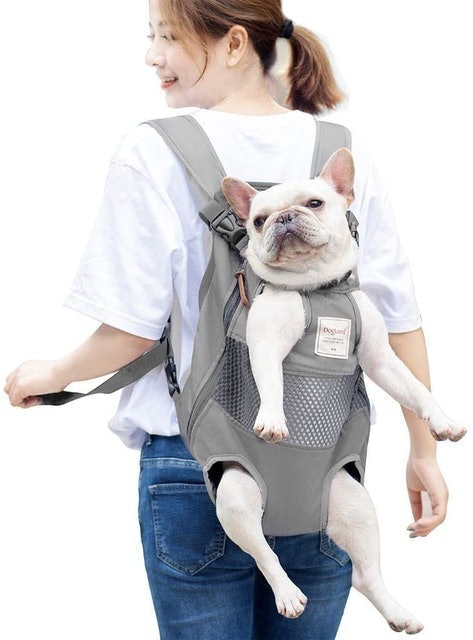 Legs Out Front Pet Carrier Backpack 1