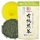 9 Best Japanese Green Teas in 2022 (Tea Sommelier-Reviewed) 1