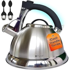 Whistling Tea Kettle