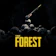 Endnight Games Ltd The Forest 1