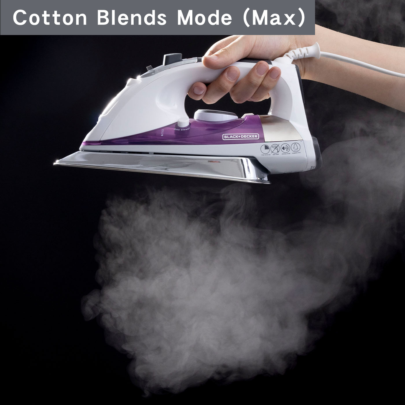 Professional Steam Iron 6