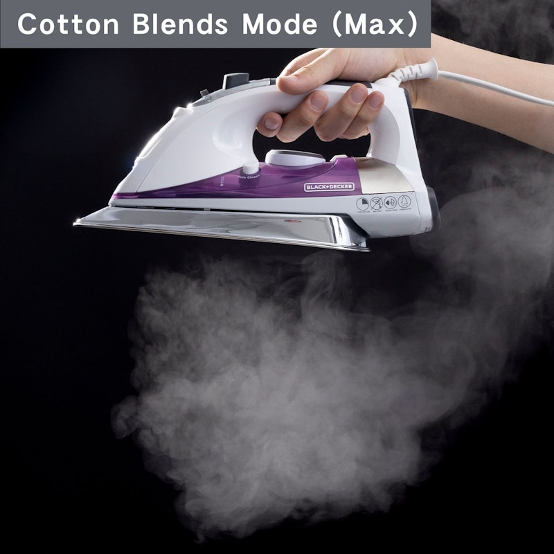 Professional Steam Iron 6