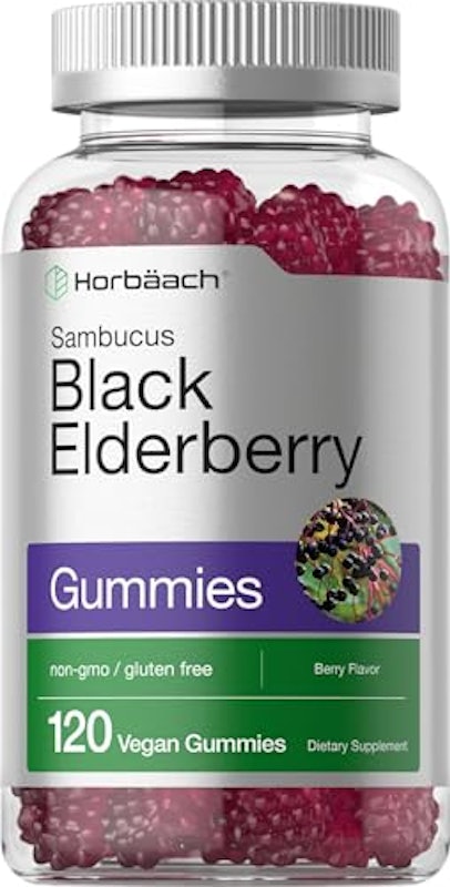 Black Elderberry 1
