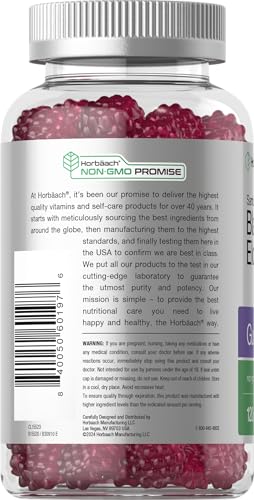 Black Elderberry 3