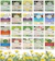 Traditional Medicinals Tea Bag Sampler 1