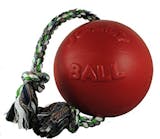 10 Best Dog Chew Toys in 2022 (KONG, Goughnuts, and More) 4