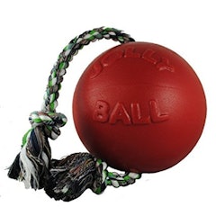 Jolly Pets Romp-N-Roll Ball
