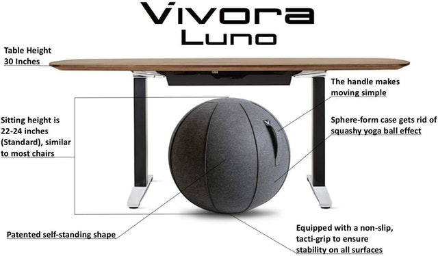 Exercise Ball 2
