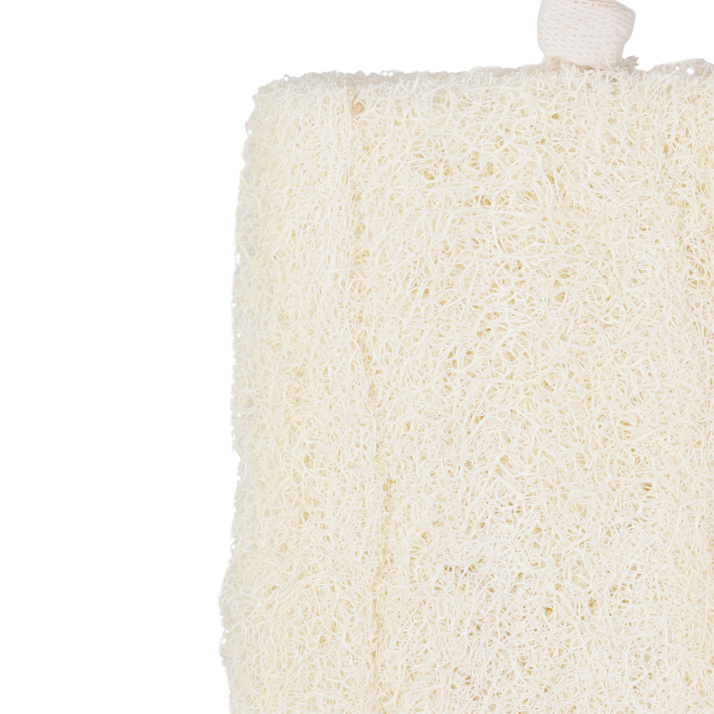 Egyptian Natural Loofah 2