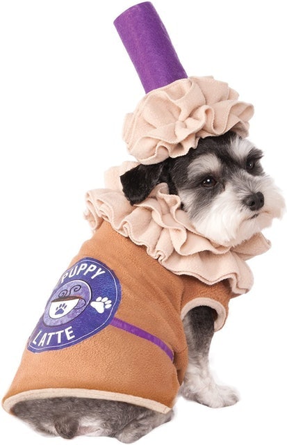 Latte Pet Costume 1