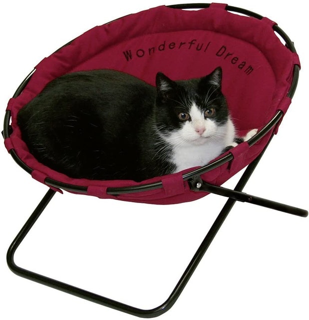 10 Best Cat Beds in 2022 (PetFusion, Pet Magasin, and More) 4