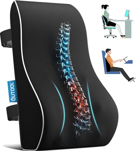 10 Best Lumbar Support Pillows  [Physical Therapist-Reviewed] 1
