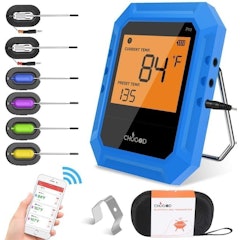 Bluetooth Meat Thermometer