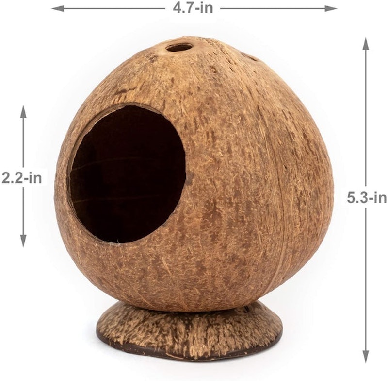 Coconut Hut 2