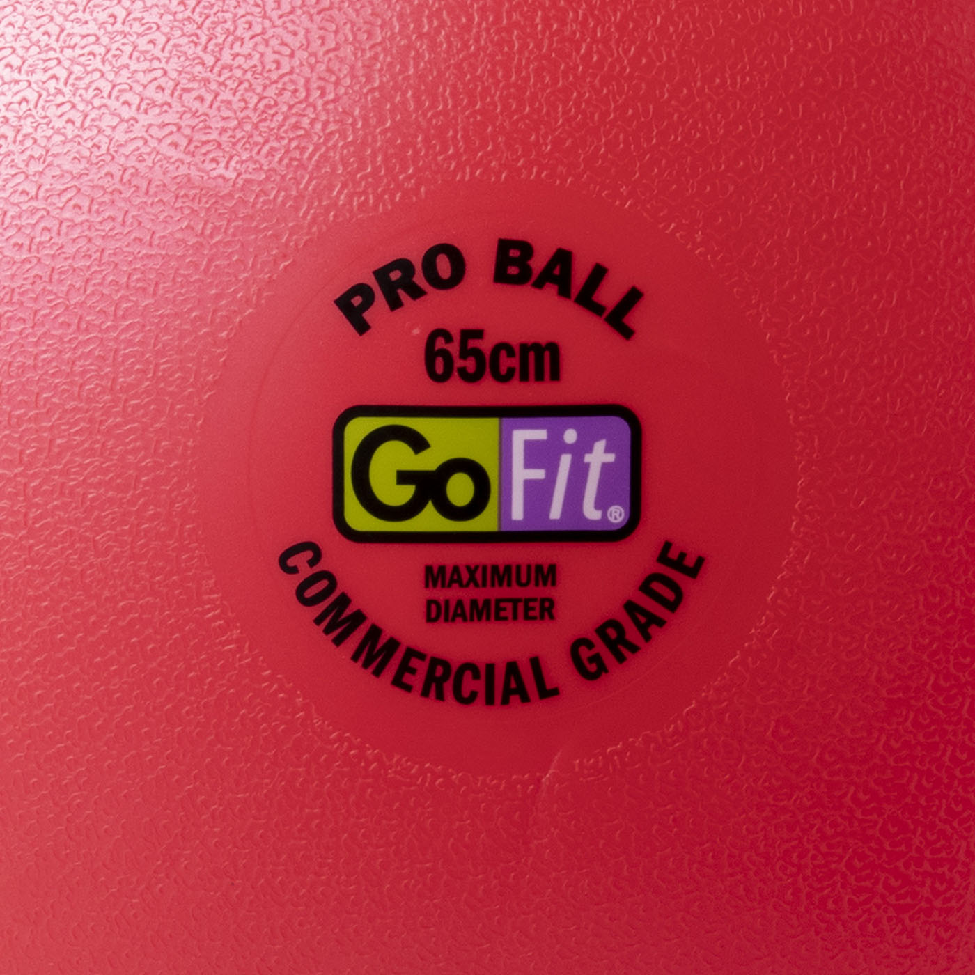 Guide Ball - Pro Grade Stability Ball 2