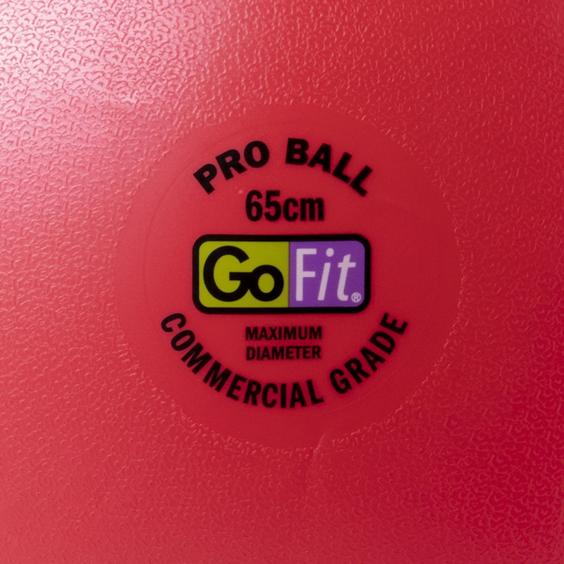Guide Ball - Pro Grade Stability Ball 2