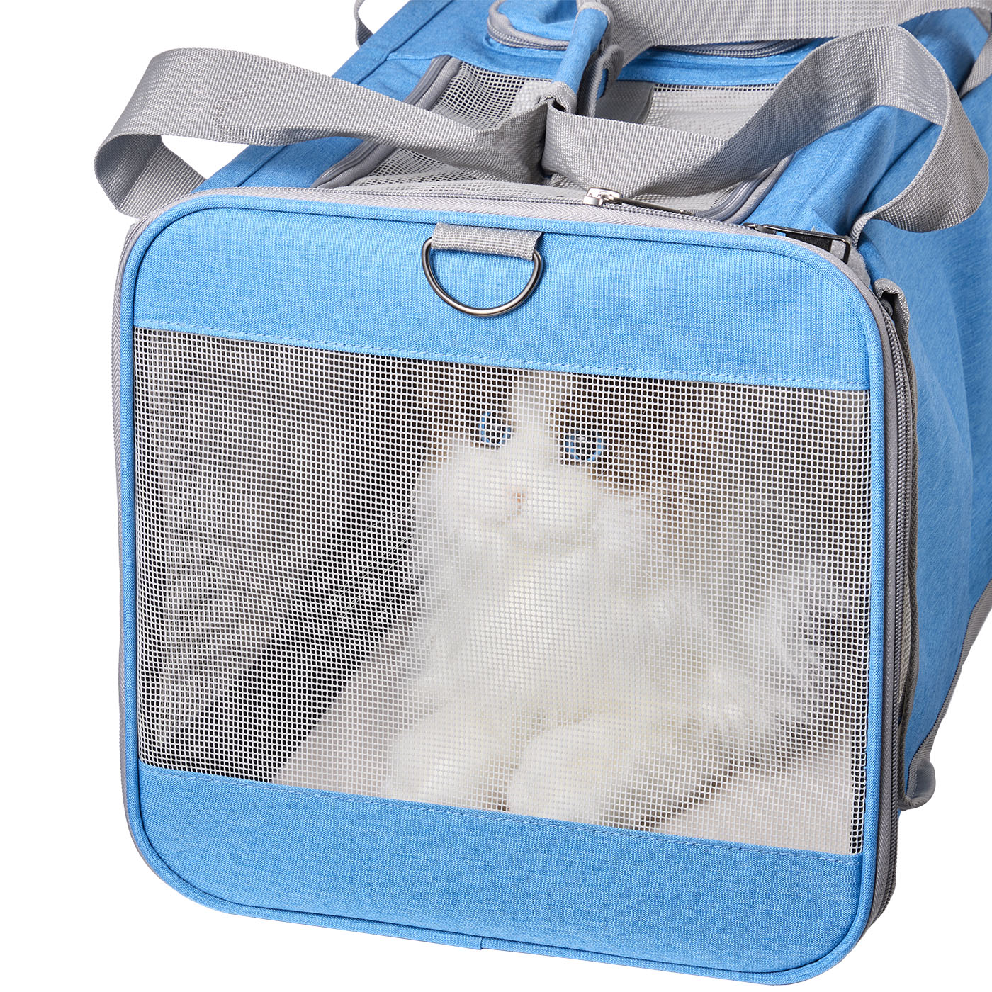 Pet Carrier for Large and Medium Cats 7