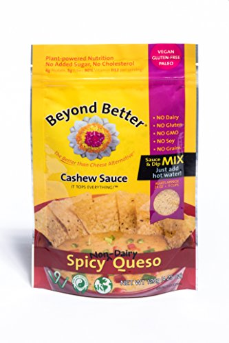 Cashew Spicy Queso Cheese Alternative (Dry Mix) 1