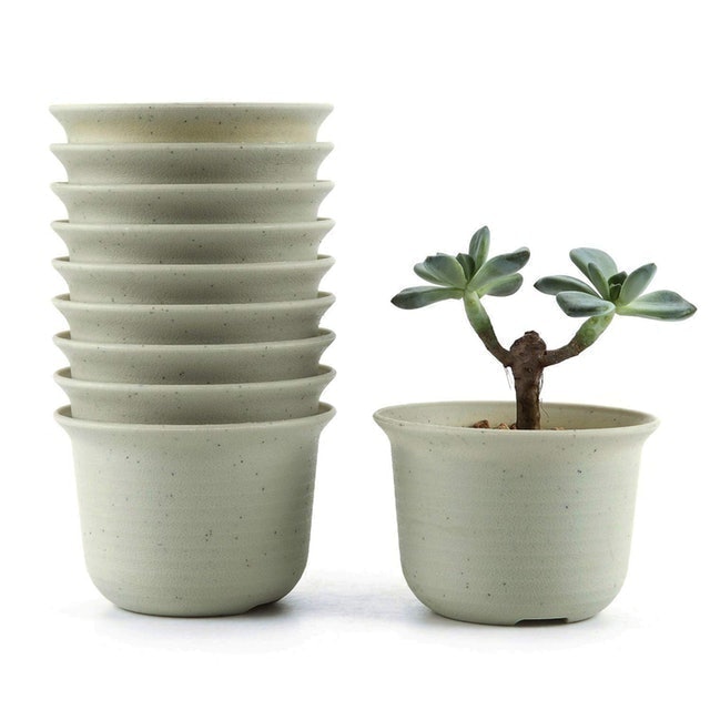 10 Best Pots for Indoor Plants in 2022 (La Jolie Muse, Southern Patio, and More) 3