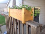 10 Best Railing Planters in 2022 (Master Gardener-Reviewed) 2