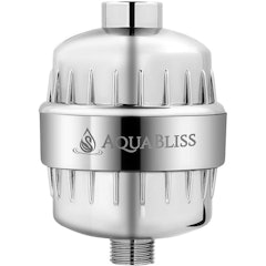 High Output Revitalizing Shower Filter