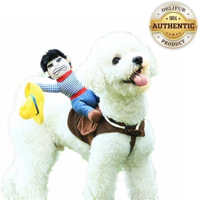 10 Best Dog Halloween Costumes in 2022 (Rubie's, Animal Planet, and More) 3