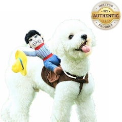 Cowboy Rider Style Dog Carrying Costume
