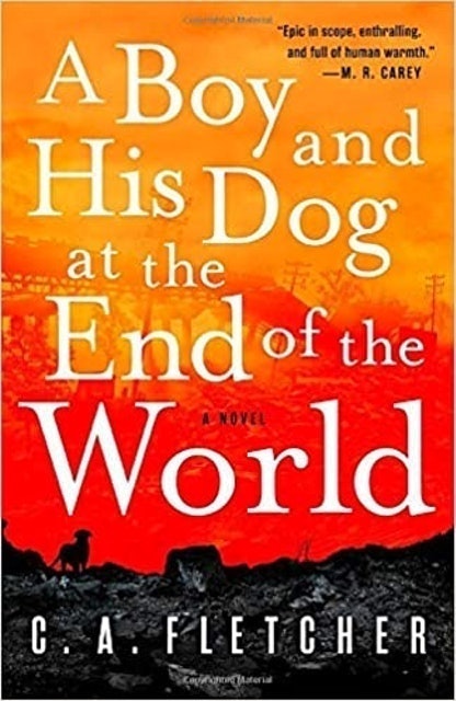 A Boy and His Dog at the End of the World 1