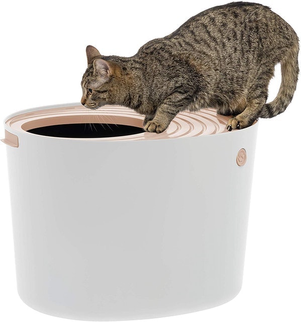 Top Entry Cat Litter Box with Cat Litter Scoop 2
