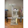 New Cat Condos 1