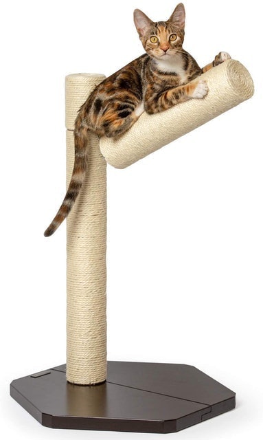 10 Best Sisal Scratching Posts in 2022 (SmartyKat, PetFusion, and More) 1