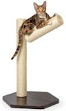 10 Best Sisal Scratching Posts in 2022 (SmartyKat, PetFusion, and More) 1