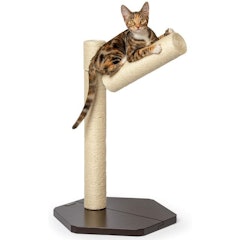 Branch-Out Cat Scratching Post