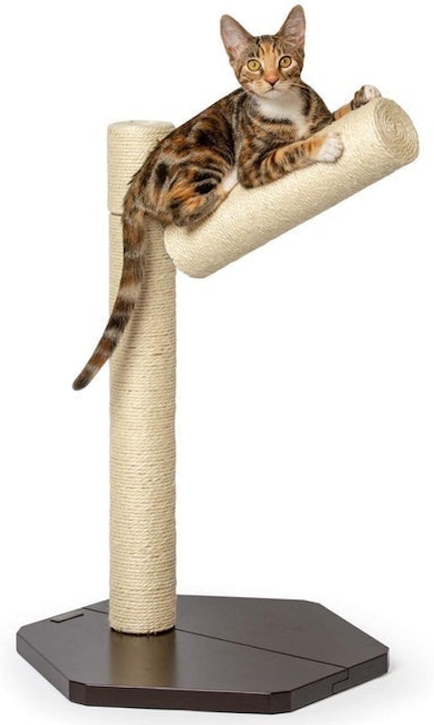 Branch-Out Cat Scratching Post 1