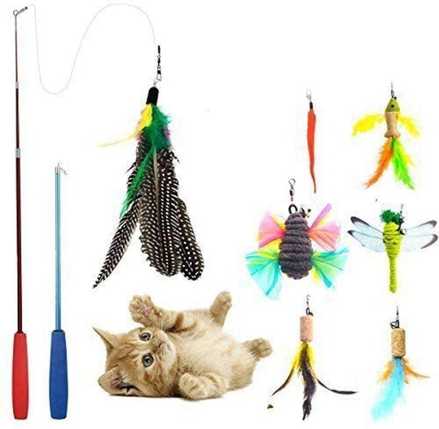 10 Best Cat Toys in 2022 (PetSafe, Petstages, and More) 1
