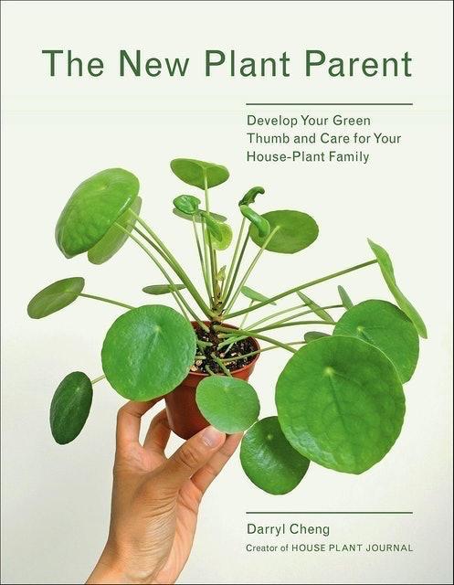 10 Best Gardening Books in 2022 (Master Gardener-Reviewed) 4
