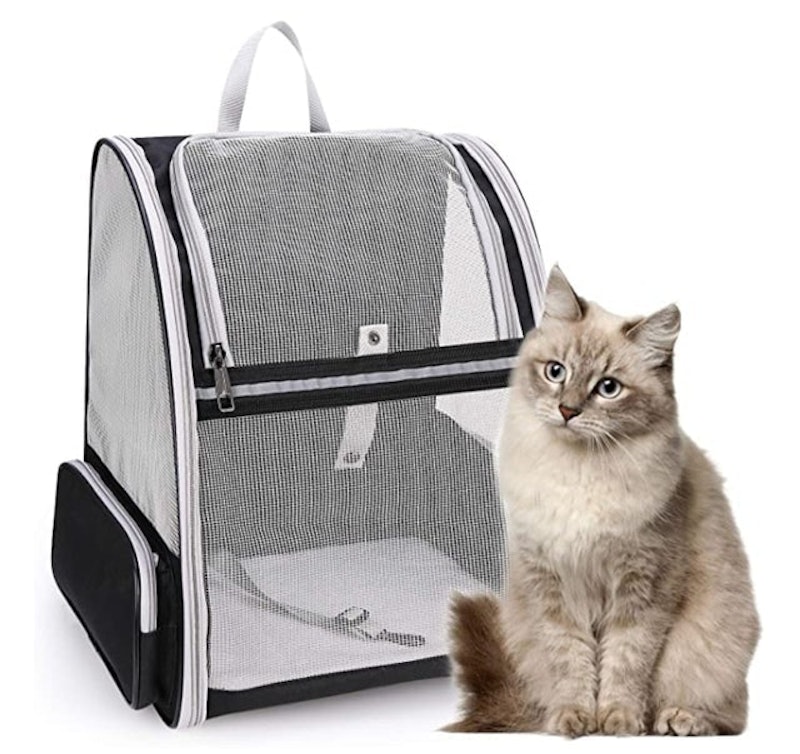 Pet Carrier Backpack 1