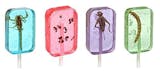 10 Best Edible Insects of 2026 2
