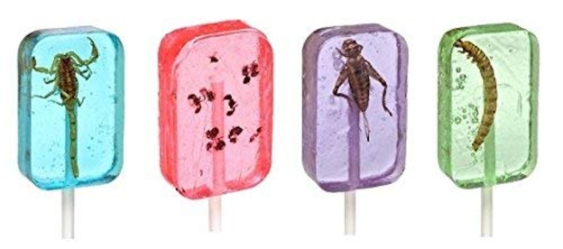 Insect Sucker Lollipop Bundle - Pack of 4 1