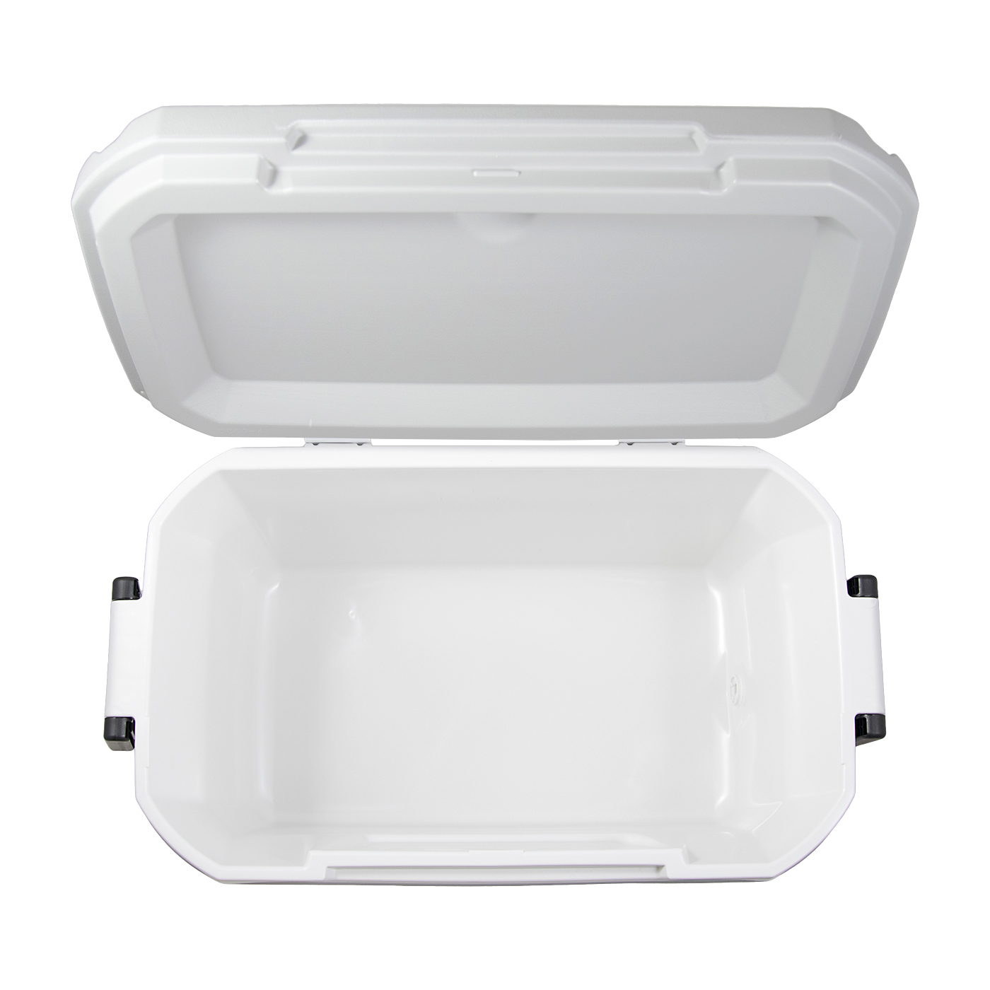 Ice Chest Coleman 316 Series Hard Coolers 2