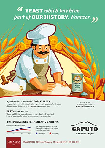 Lievito Dry Yeast 4