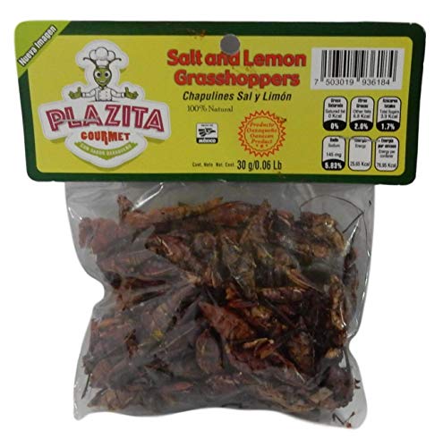 10 Best Edible Insects of 2026 4