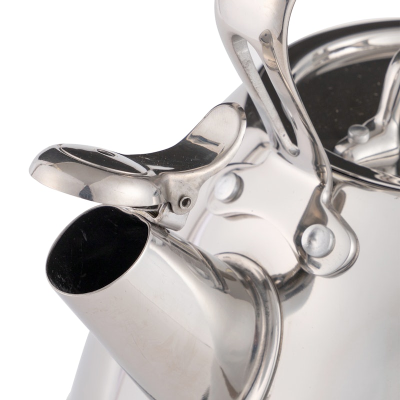 Tea Kettle 2