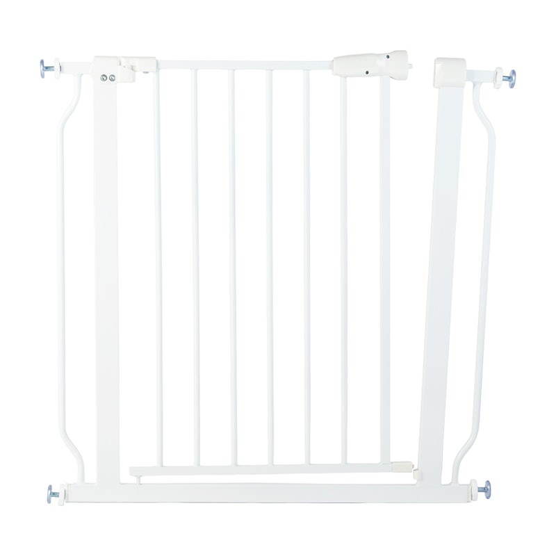 BalanceFrom Safety Gate 1