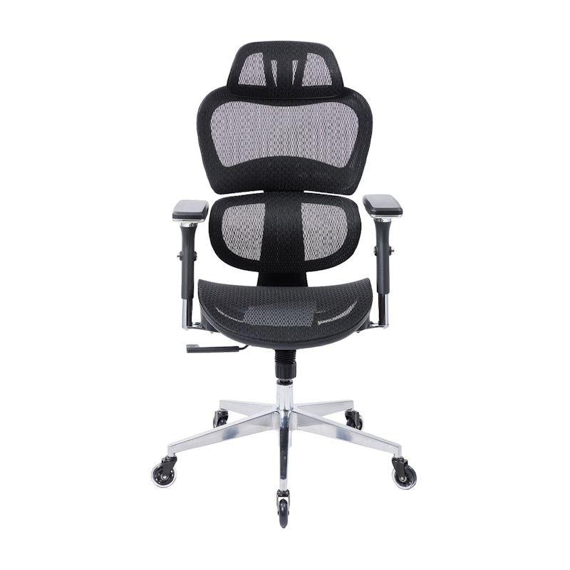 Ergo3D Ergonomic Office Chair 2