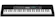 Casio 61-Key Portable Keyboard 1